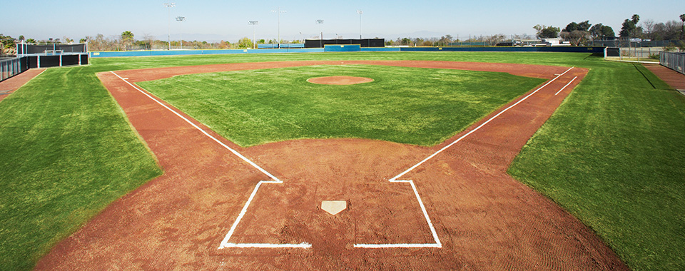 At Elgin Restaurant, watch Baseball Matches